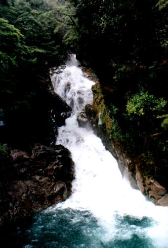 Waterfall in NZ
